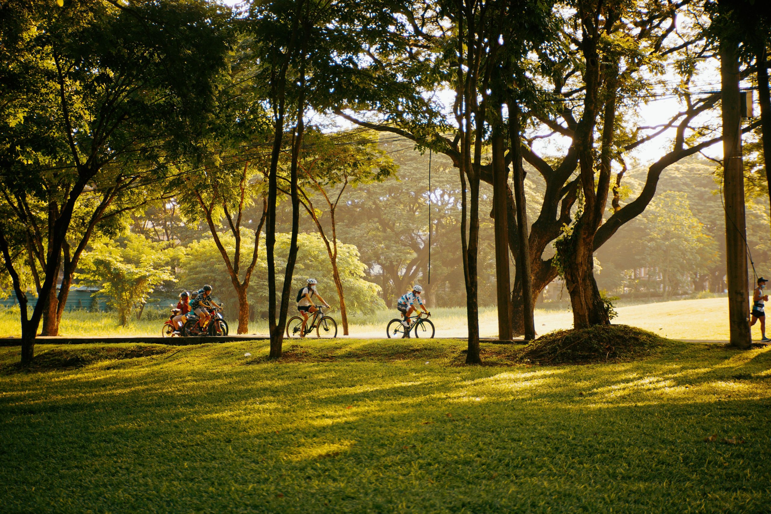 Beautiful lifestyle at a green park in Palmetto Bay and South Miami